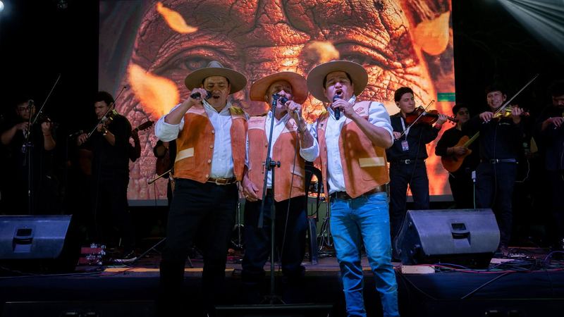 Visual proyectado a gran escala detrás de una banda en directo